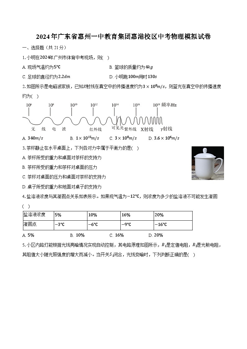 2024年广东省惠州一中教育集团惠港校区中考物理模拟试卷（含答案）第1页