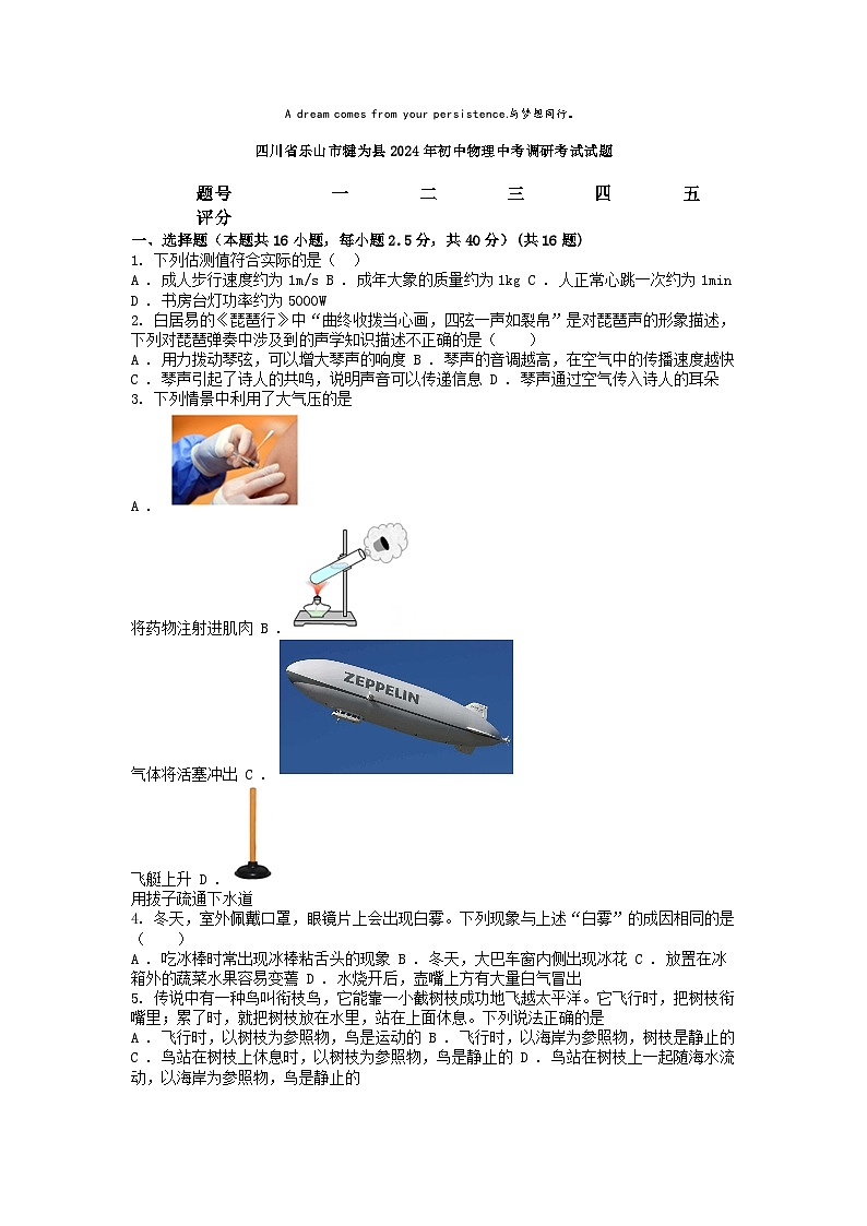 [物理]四川省乐山市犍为县2024年初中物理中考调研考试试题第1页