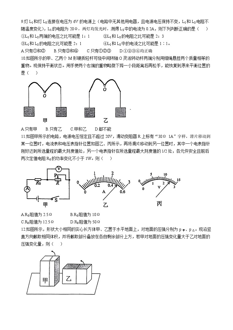 2024年新疆乌鲁木齐市第十三中学中考一模物理试卷+02