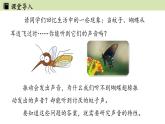 人教版八年级物理上册课件 2.2声音的特性