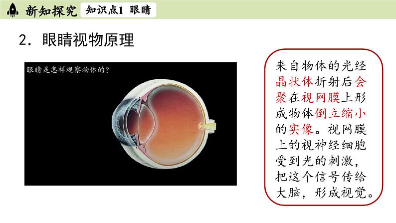 人教版八年级物理上册课件 5.4眼睛和眼镜05