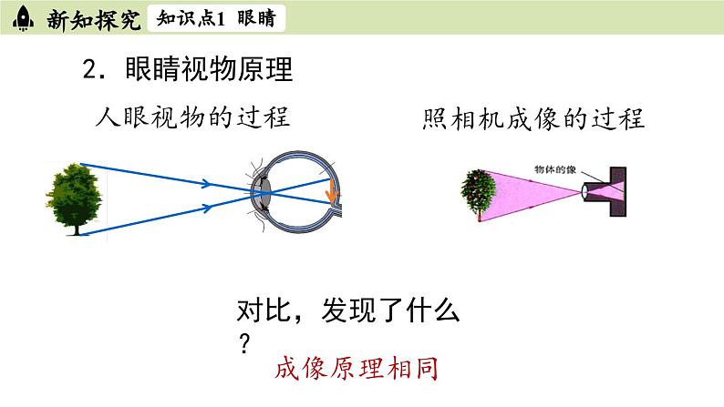 人教版八年级物理上册课件 5.4眼睛和眼镜06