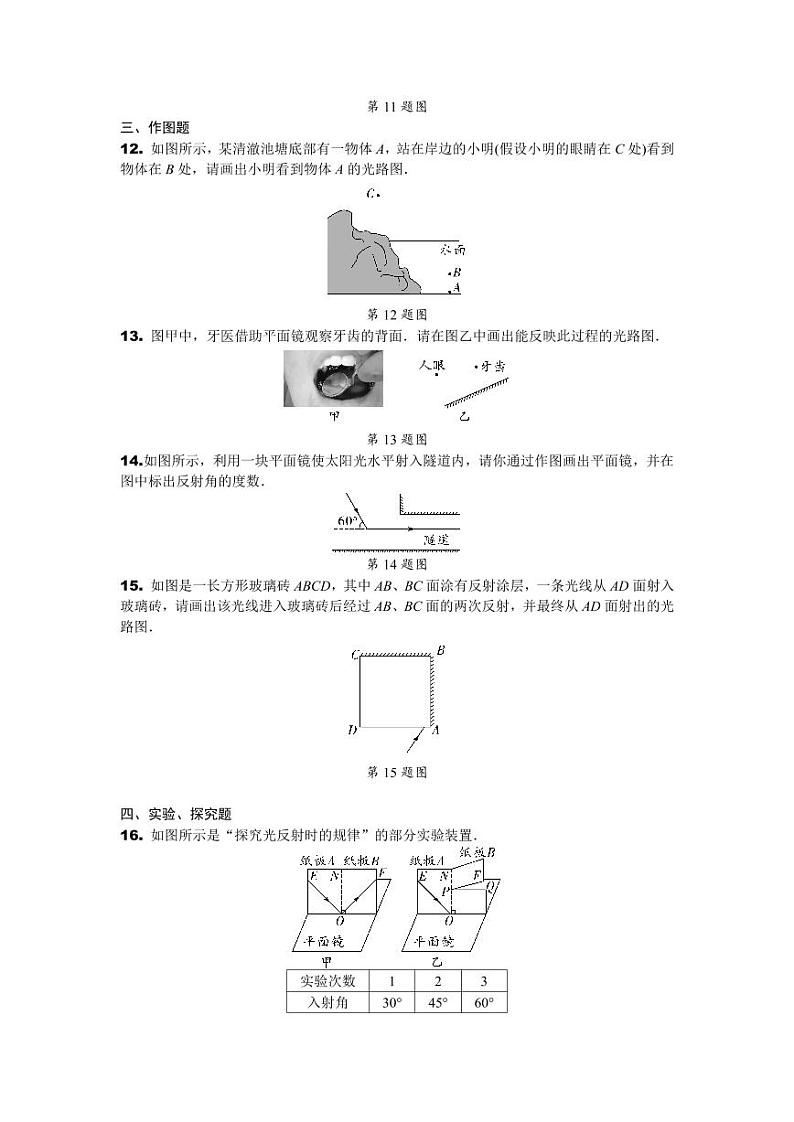 2024辽宁中考物理二轮复习专题专项训练  第13讲 光现象 (含答案)第3页