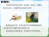 (2024)人教版物理八年级上册(2-2)声音的特性PPT课件