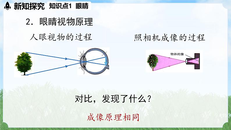 (2024)人教版物理八年级上册(5-4)眼睛和眼镜PPT课件06