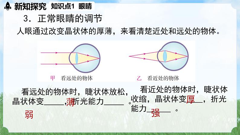 (2024)人教版物理八年级上册(5-4)眼睛和眼镜PPT课件08