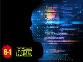 (2024)人教版物理八年级上册(6-1)质量PPT课件