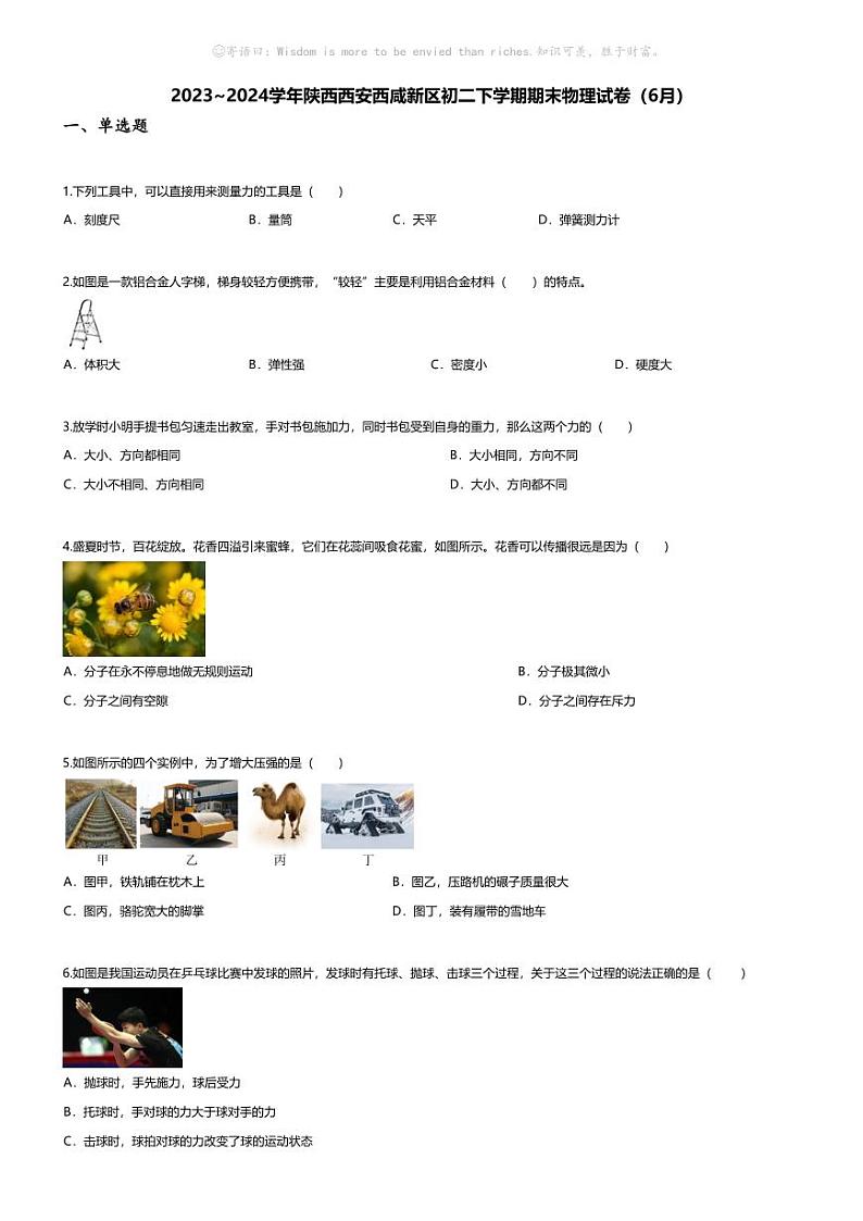 [物理][期末]2023~2024学年陕西西安西咸新区初二下学期期末物理试卷(无答案)(6月)第1页