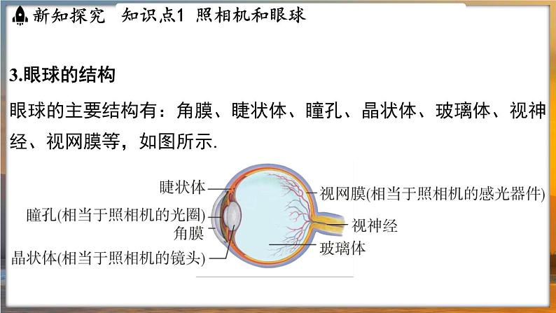 3.4 透镜的应用 （课件）---2024-2025学年苏科版物理八年级上学期08