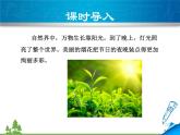 粤沪版物理八年级上册 3.1 光世界巡行3课件