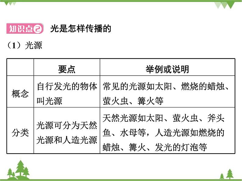 粤沪版物理八年级上册 3.1 光世界巡行4课件第5页