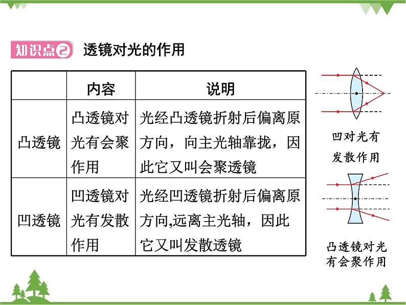 粤沪版物理八年级上册 3.5 奇妙的透镜4课件第5页