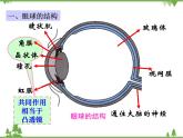 粤沪版物理八年级上册 3.7 眼睛与光学仪器2课件