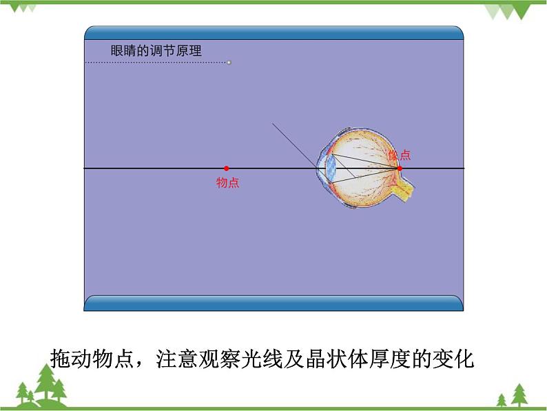粤沪版物理八年级上册 3.7 眼睛与光学仪器2课件第5页