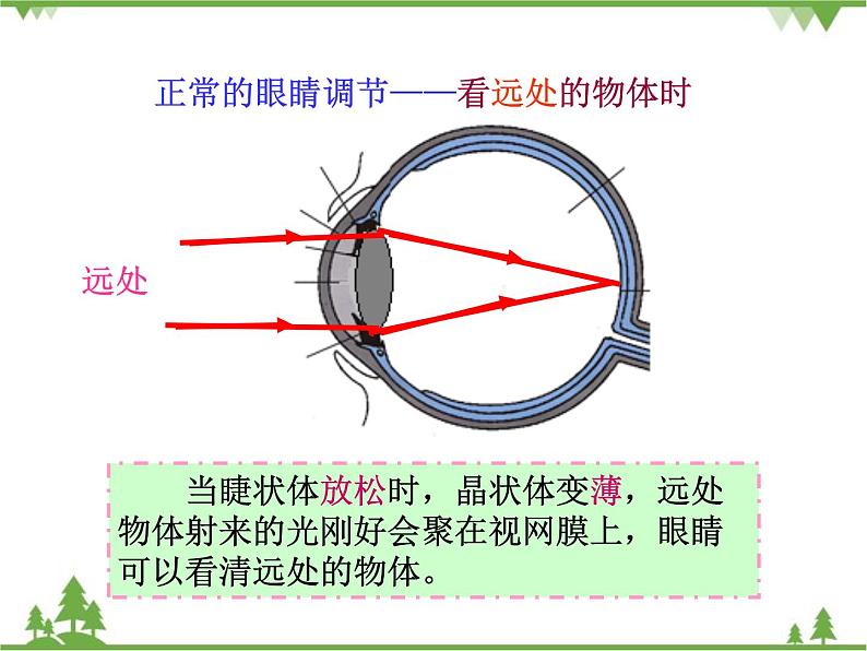 粤沪版物理八年级上册 3.7 眼睛与光学仪器2课件第6页