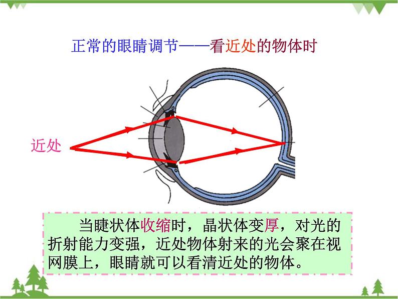 粤沪版物理八年级上册 3.7 眼睛与光学仪器2课件第7页