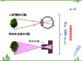 粤沪版物理八年级上册 3.7 眼睛与光学仪器3 第1课时 眼睛与眼镜课件