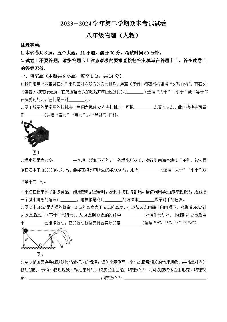 河南省濮阳市南乐县2023-2024学年八年级下学期7月期末物理试题第1页