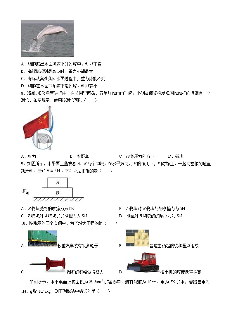 湖南省益阳市南县2023-2024学年八年级下学期期末考试物理试题第3页