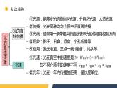【核心素养】人教版八年级上册 第4章 《光现象》复习课件