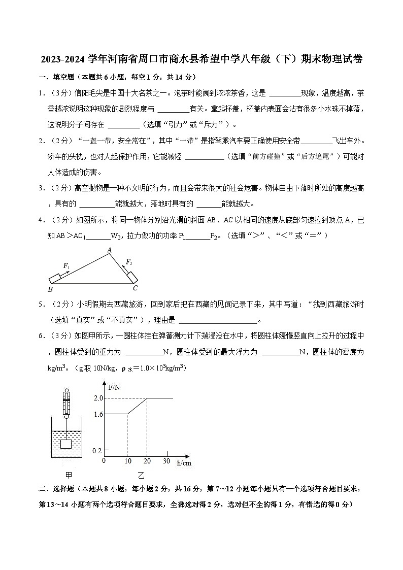 2023-2024学年河南省周口市商水县希望中学八年级（下）期末物理试卷01