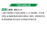 2024宁夏中考物理二轮复习 第16讲  电与磁（课件）