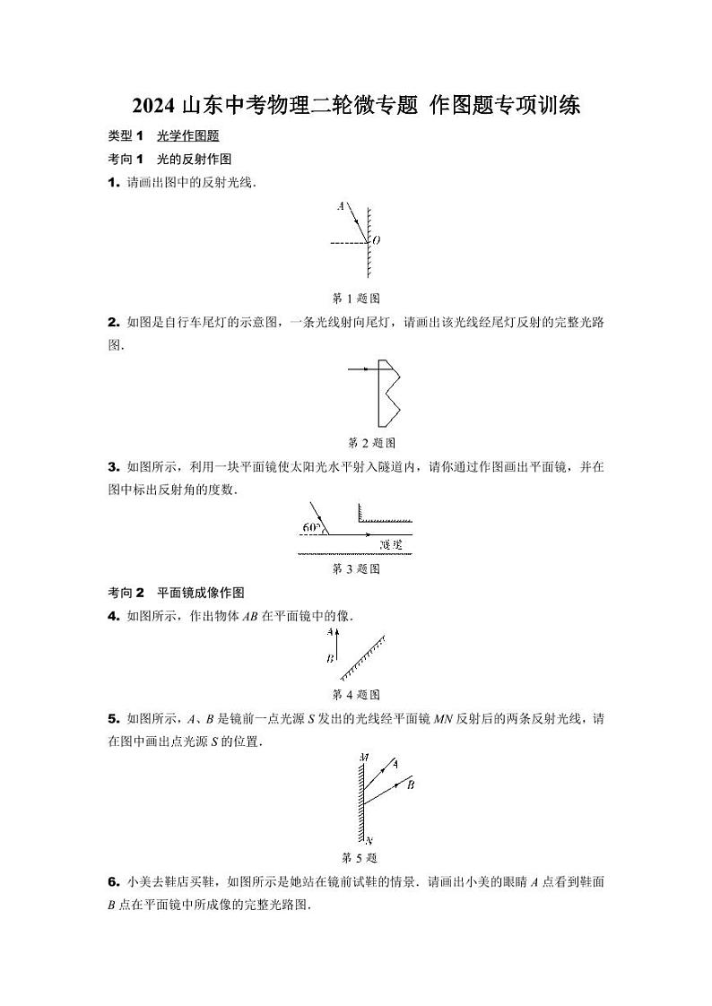 2024山东中考物理二轮微专题 作图题专项训练  (含答案)第1页