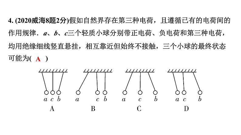 2024山东中考物理二轮重点专题研究 微专题 电学基础概念（课件）06