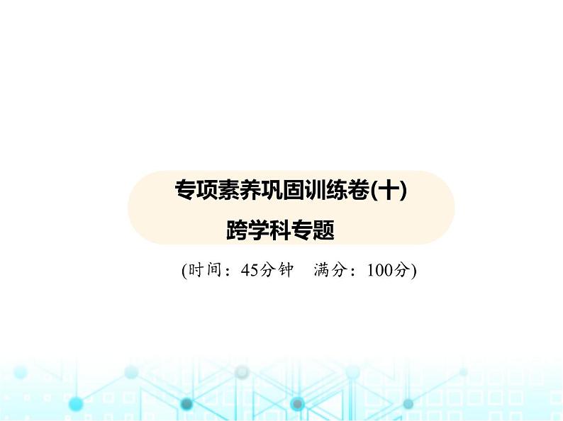 沪粤版初中物理九年级专项素养巩固训练卷(十)跨学科专题课件01