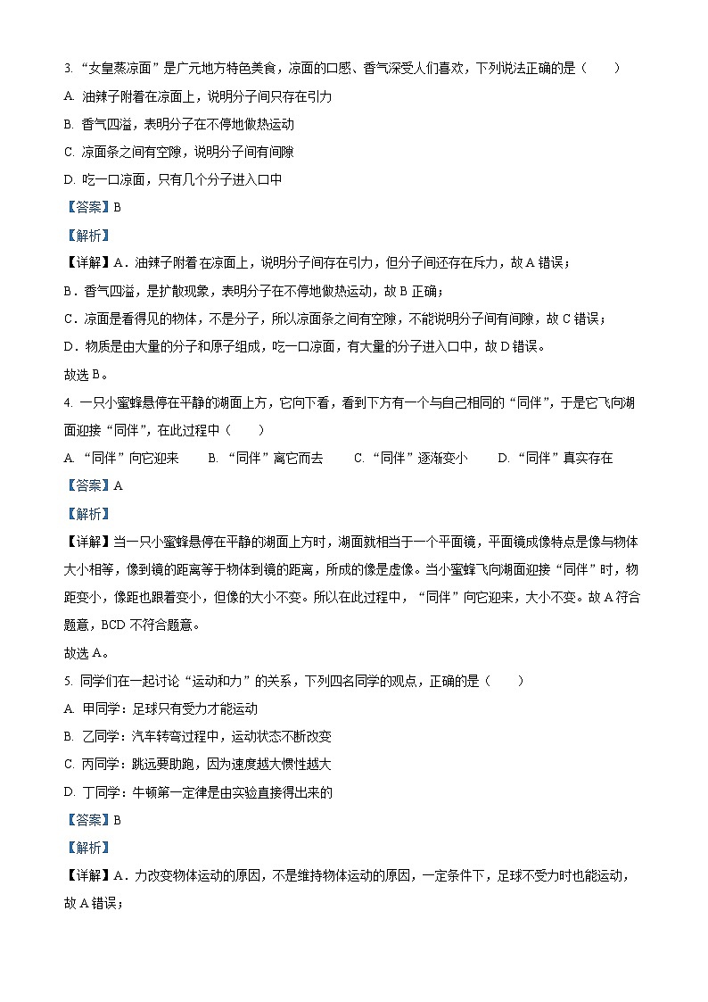 2024年四川省广元市中考物理试题（解析版）第2页