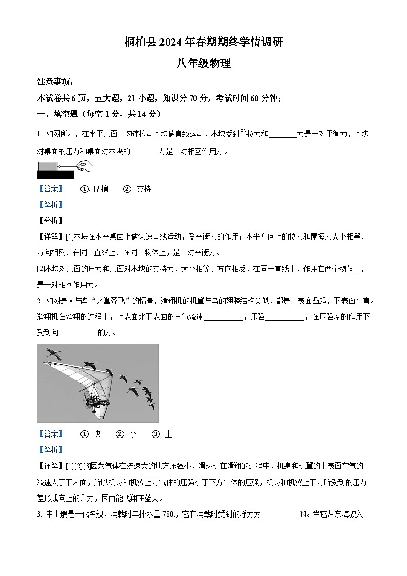 河南省南阳市桐柏县2023-2024学年八年级下学期6月期末物理试题（解析版）第1页