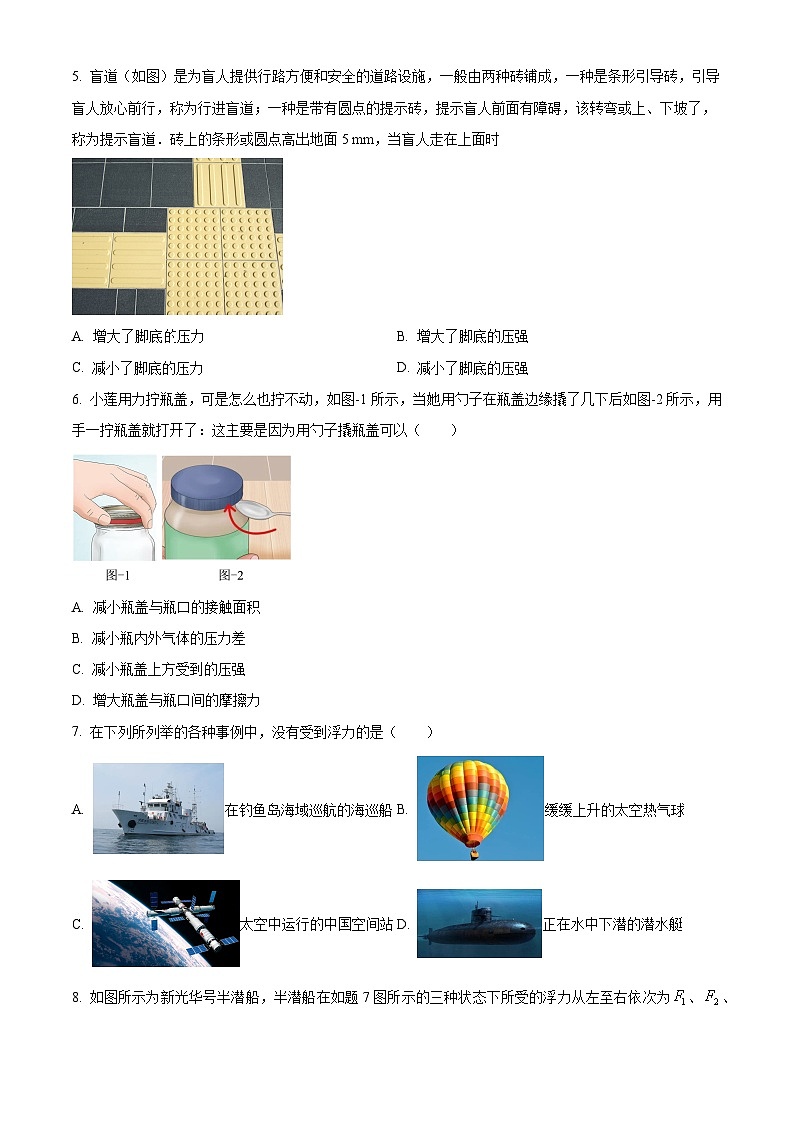 湖北省黄石市阳新县2023-2024学年八年级下学期期末质量检测物理试题（原卷版+解析版）03