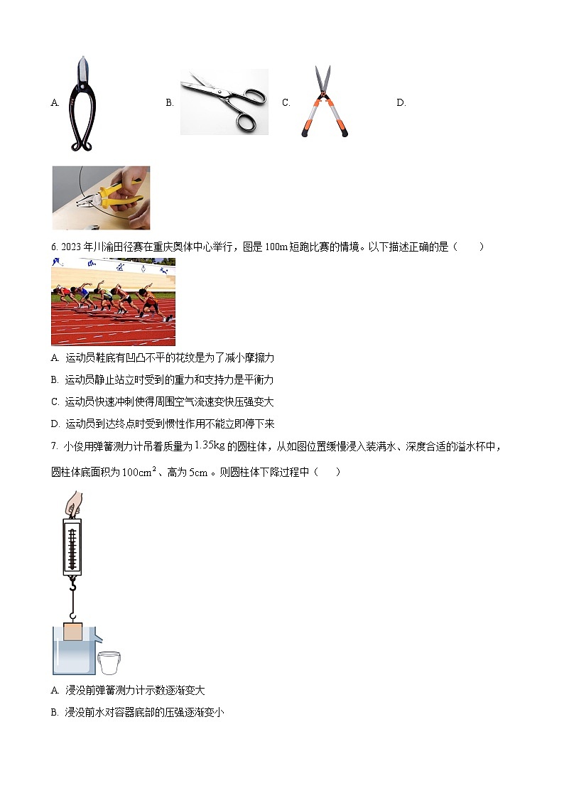 重庆市巫山县2023-2024学年八年级下学期期末考试物理试题（原卷版）第2页