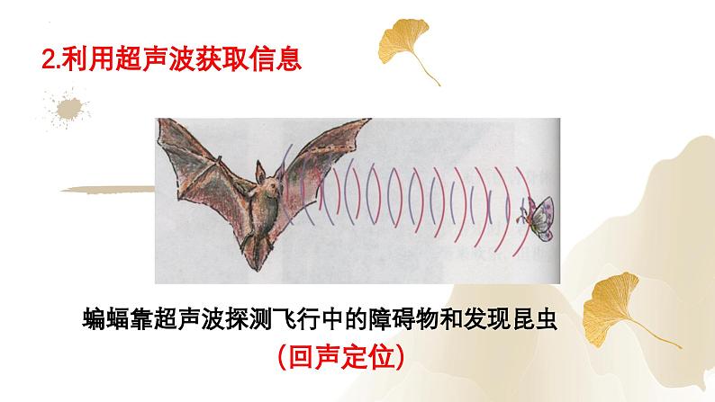 2.3声的利用（课件）-2023-2024学年八年级物理上册同步精品课堂（人教版）07