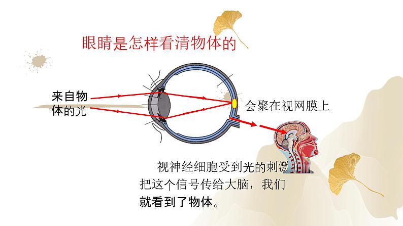 5.4眼睛和眼镜（课件）-2023-2024学年八年级物理上册同步精品课堂（人教版）06