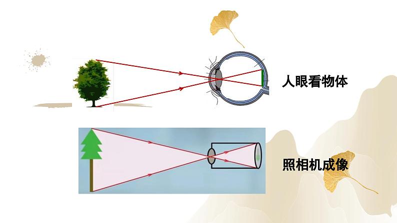 5.4眼睛和眼镜（课件）-2023-2024学年八年级物理上册同步精品课堂（人教版）07