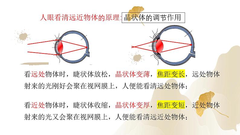 5.4眼睛和眼镜（课件）-2023-2024学年八年级物理上册同步精品课堂（人教版）08