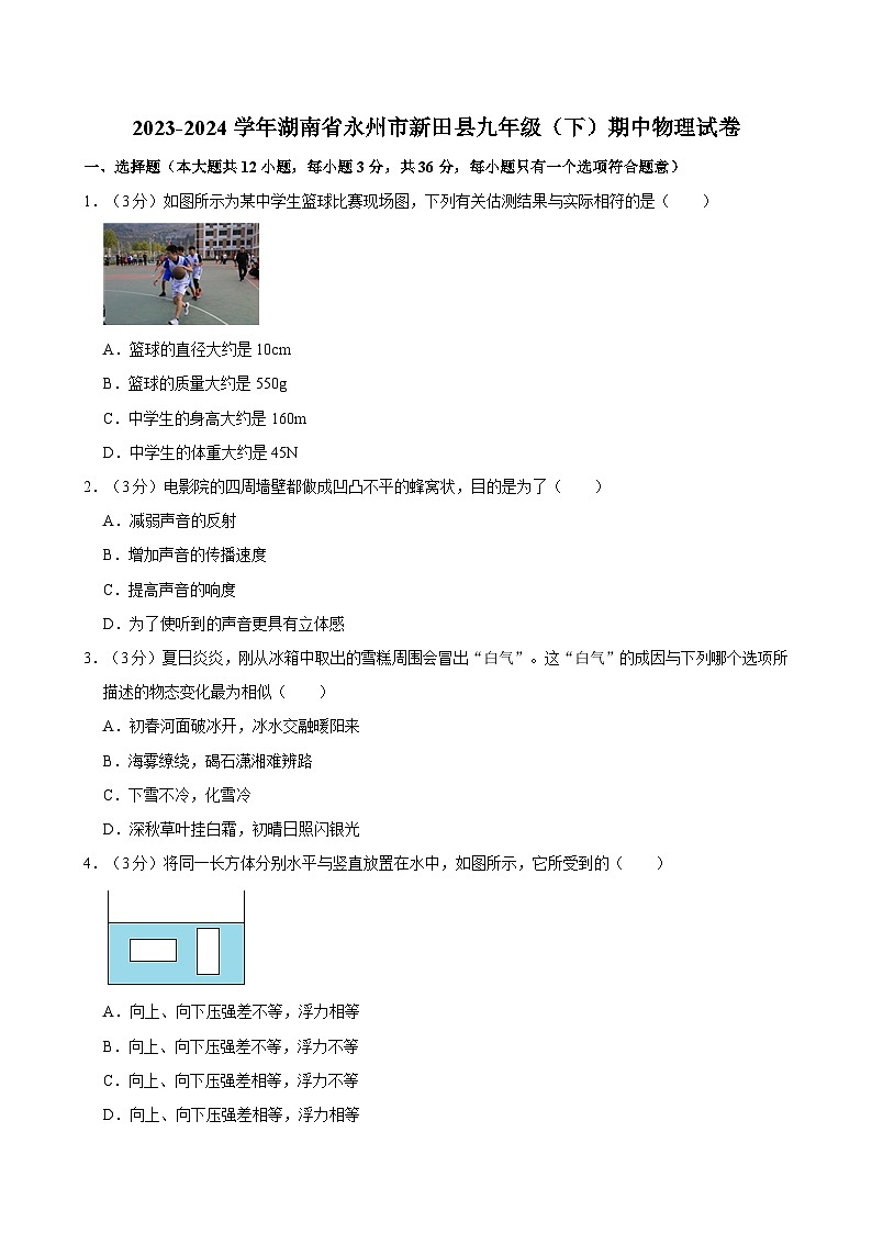 2023-2024学年湖南省永州市新田县九年级（下）期中物理试卷01