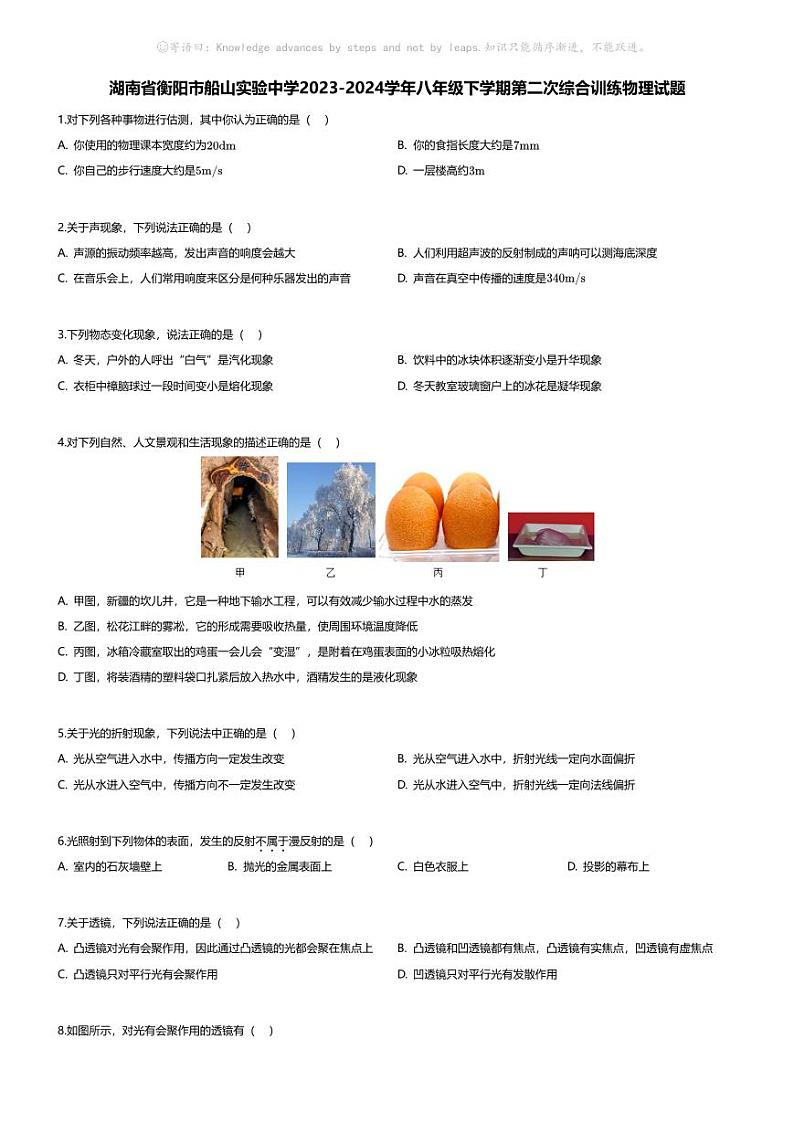[物理]湖南省衡阳市船山实验中学2023-2024学年八年级下学期月考第二次综合训练物理试题01