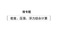 2024长沙中考物理二轮专题复习 微专题 密度、压强、浮力综合计算 （课件）