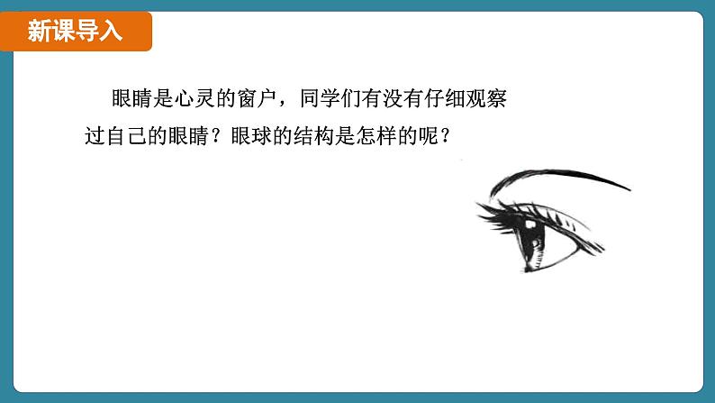 5.4 眼睛和眼镜（课件）-2024-2025学年人教版（2024）物理八年级上册04