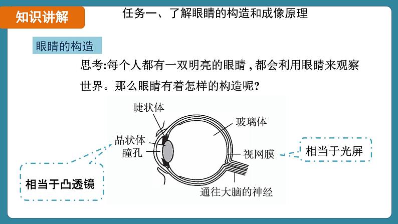 5.4 眼睛和眼镜（课件）-2024-2025学年人教版（2024）物理八年级上册07