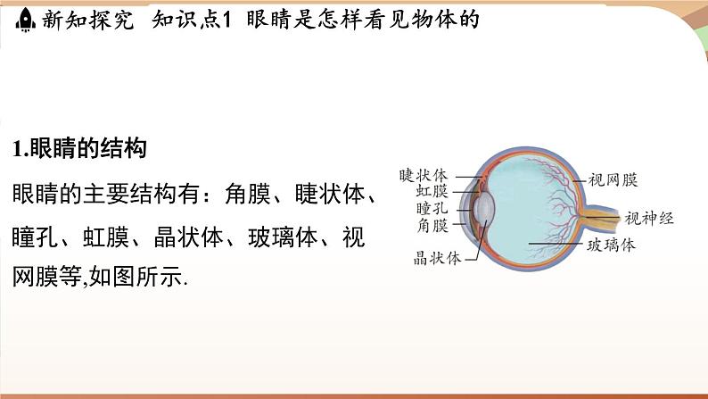 3.7眼睛与光学仪器 课件 --2024-2025学年 沪粤版（2024）物理八年级上册03