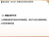 3.7眼睛与光学仪器 课件 --2024-2025学年 沪粤版（2024）物理八年级上册