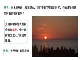 2024中考物理大单元复习 成都试题研究教用 一束光的奇妙旅行（课件）