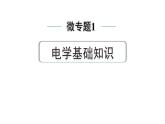2024中考物理备考专题 微专题1 电学基础知识 (课件)