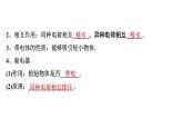 2024中考物理备考专题 微专题1 电学基础知识 (课件)