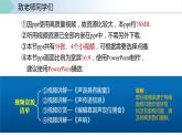 人教版八年级物理上册同步备课 2.3 声的利用（教学课件）
