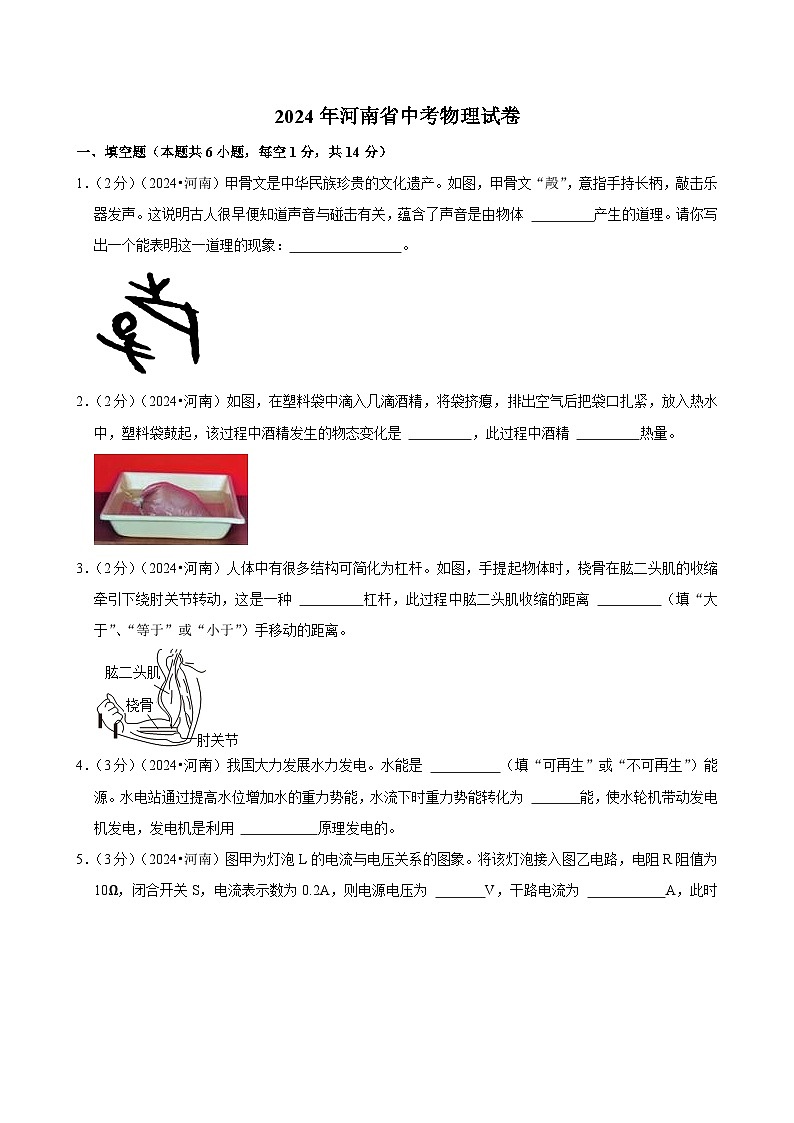 2024年河南省中考物理试卷第1页