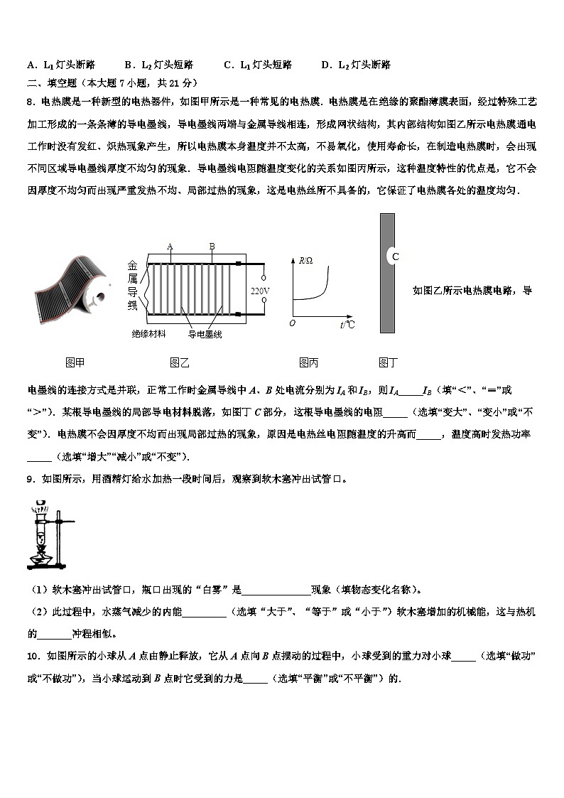 2024年湖南省株洲市重点中学中考联考物理试题第3页